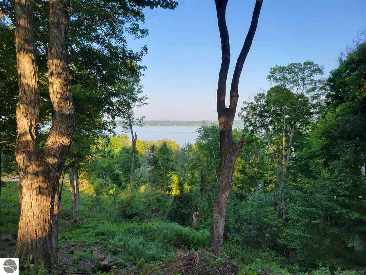 Lot 5 Torch Hills Lane - Photo 1