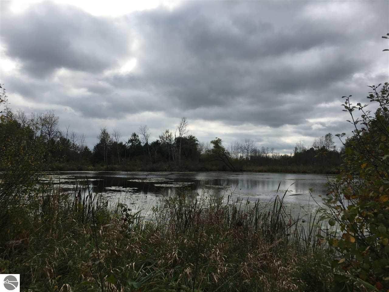 4419 10 Mile Road - Photo 1