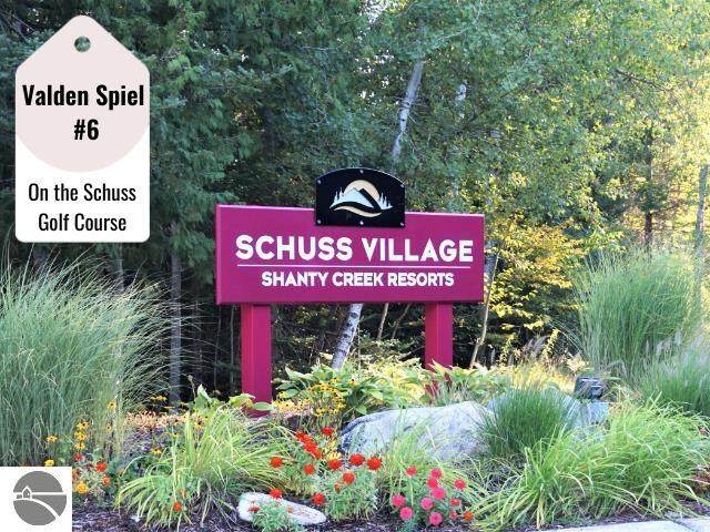 TBD Schuss Mountain Drive - Photo 1