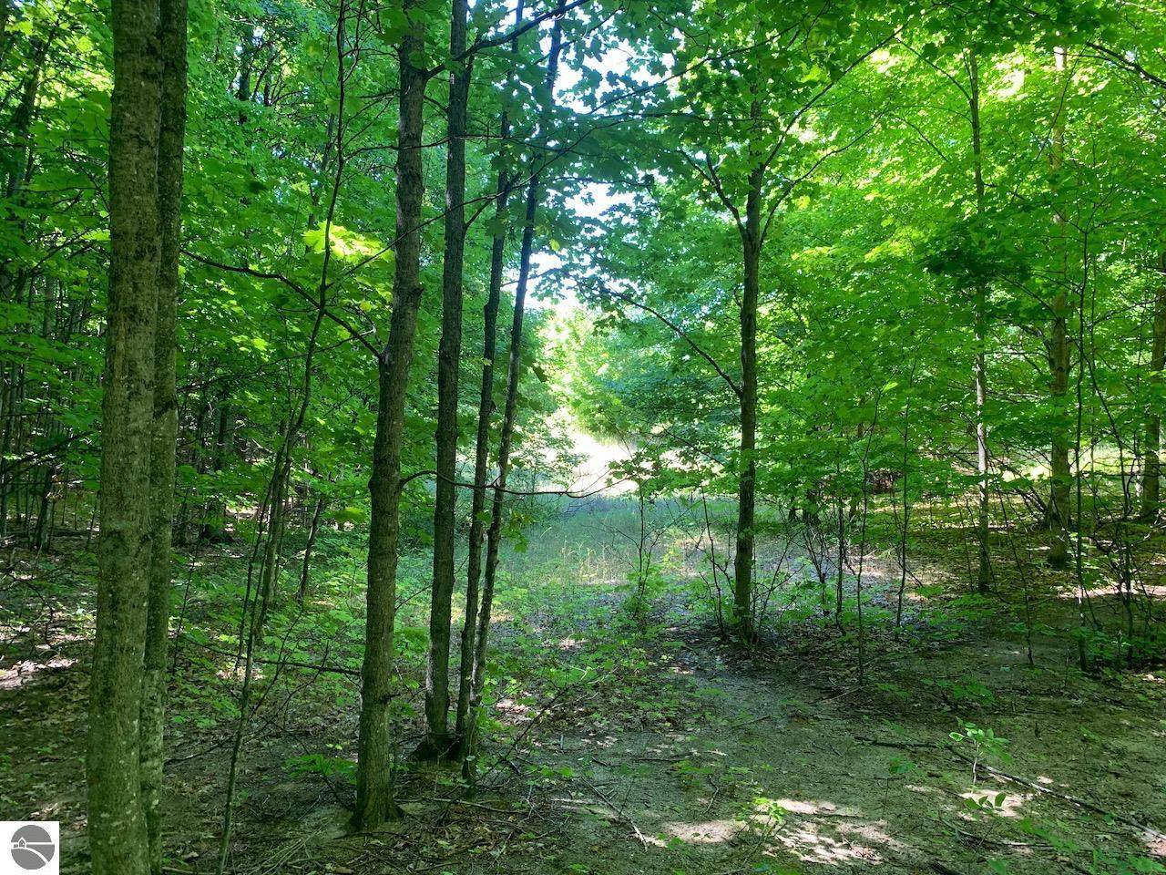 9870 Keswick Hills - Photo 1