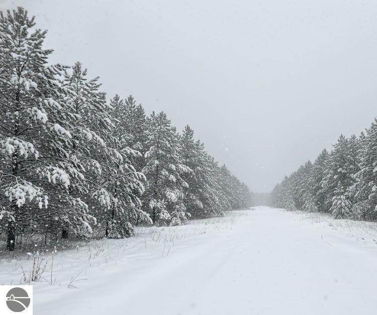 Parcel F-2 2 1/2 Road - Photo 1