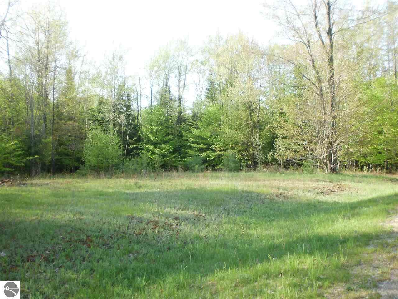 Spring Valley Drive - Photo 1