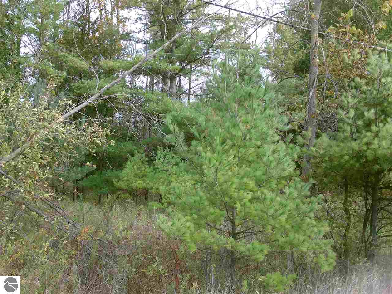 0 M-55 - Photo 1