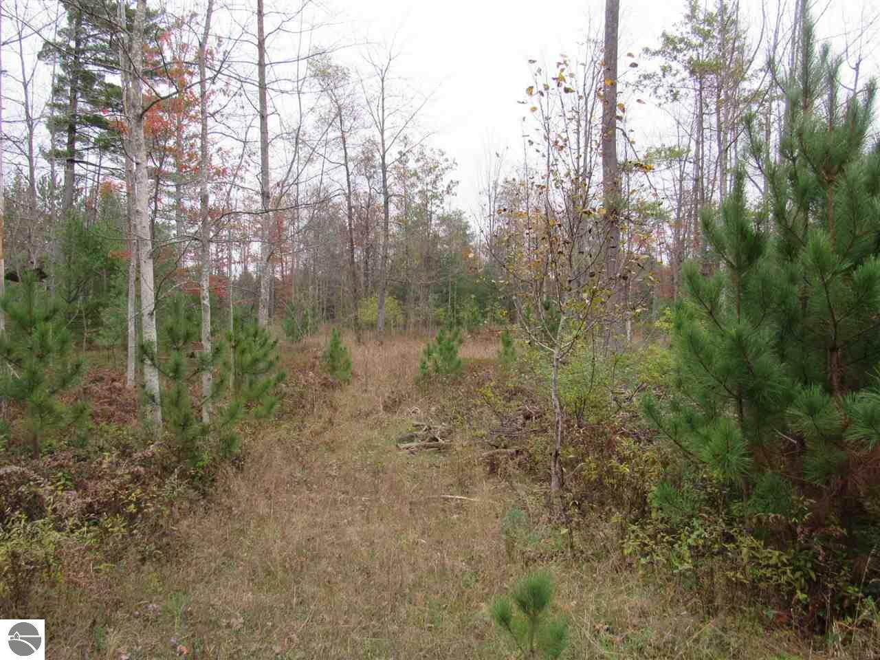 9 Pine Lodge - Photo 1