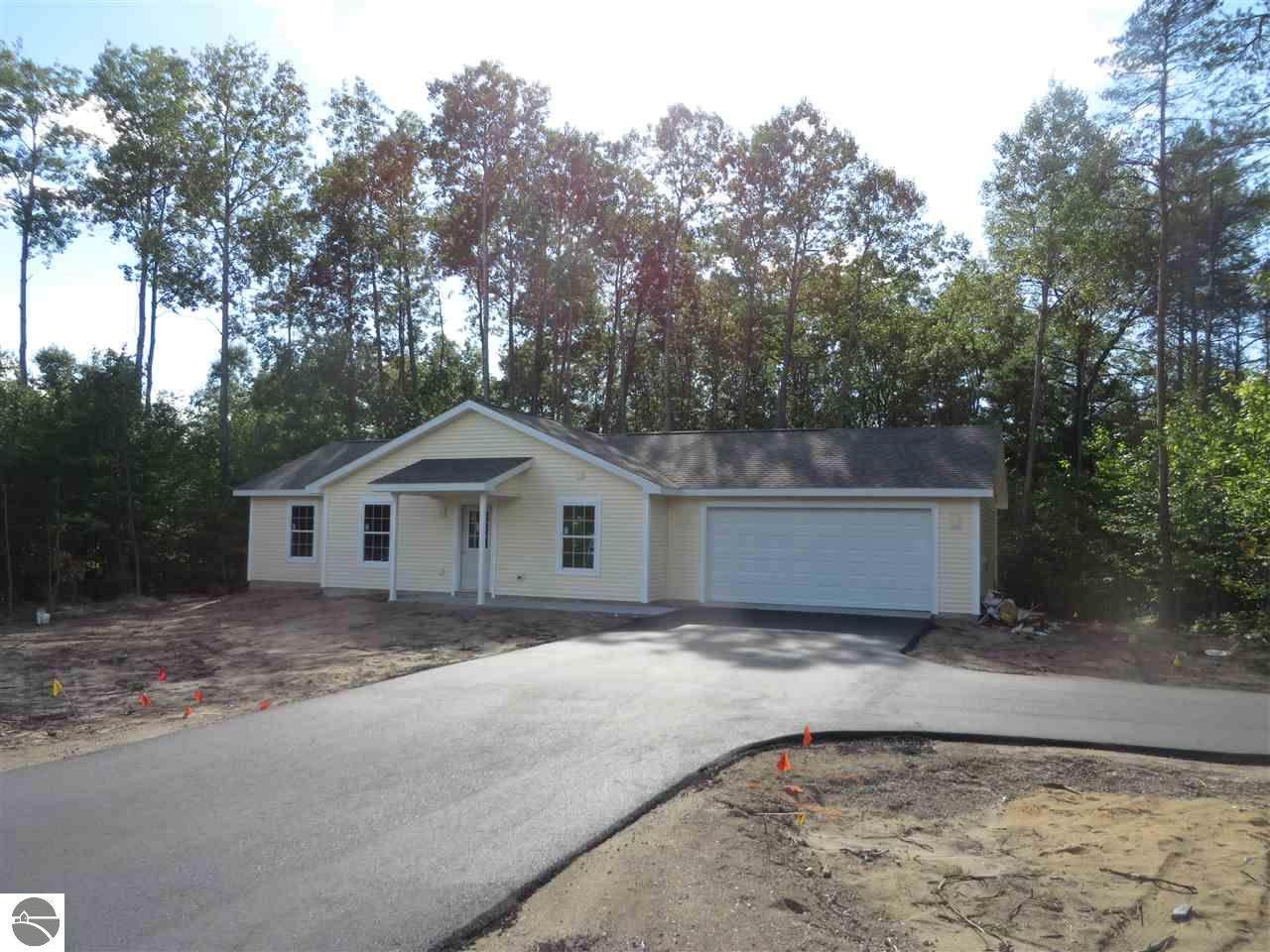 10160 Betsie Creek Drive - Photo 1