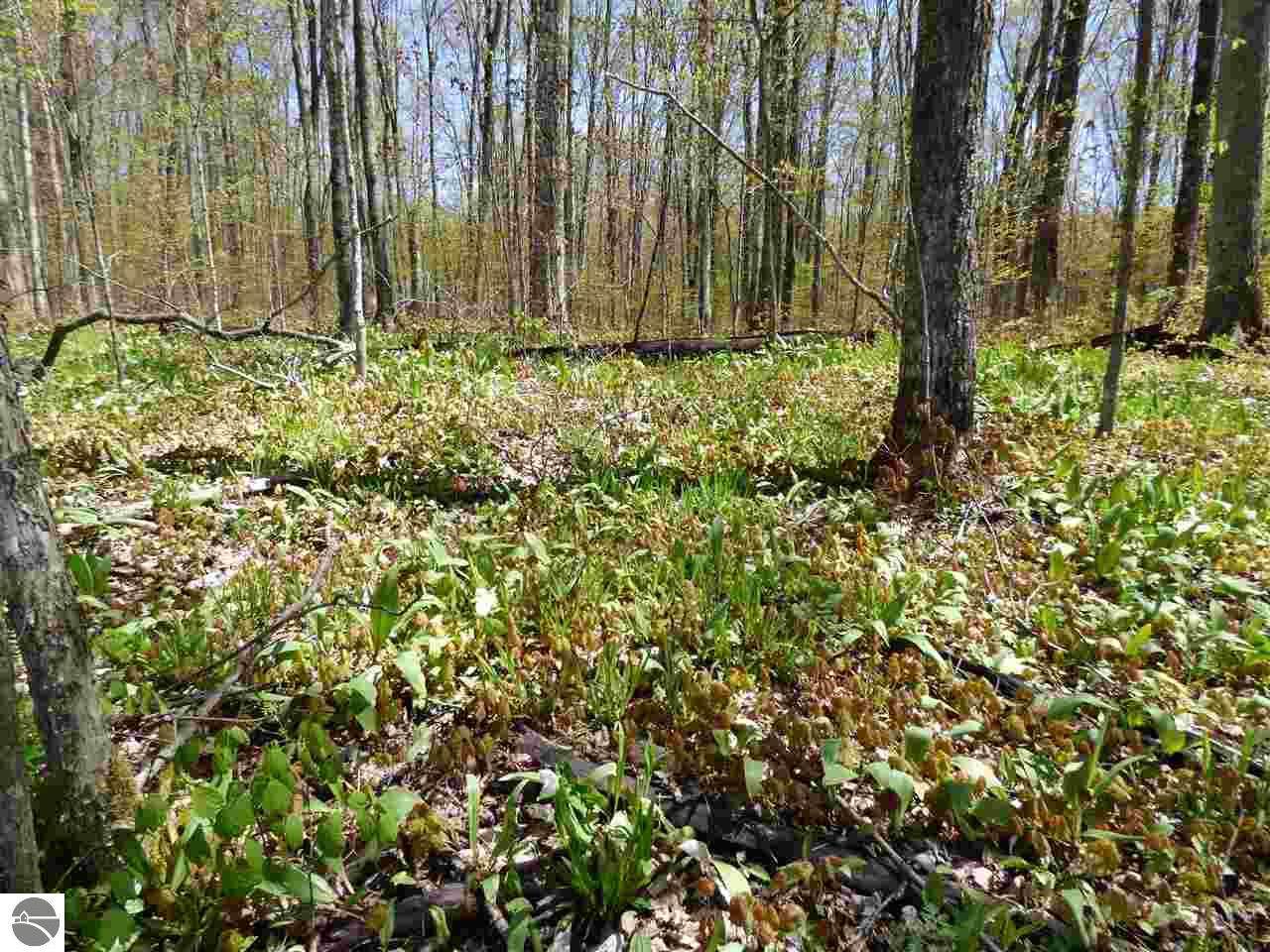 2.3 Acres Jordan Hills Road - Photo 1