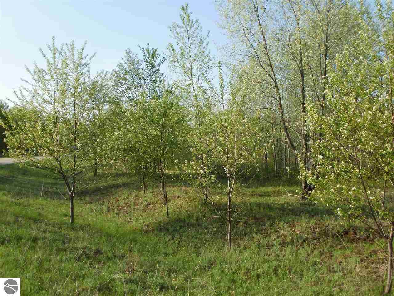 Sweetwater Drive - Photo 1