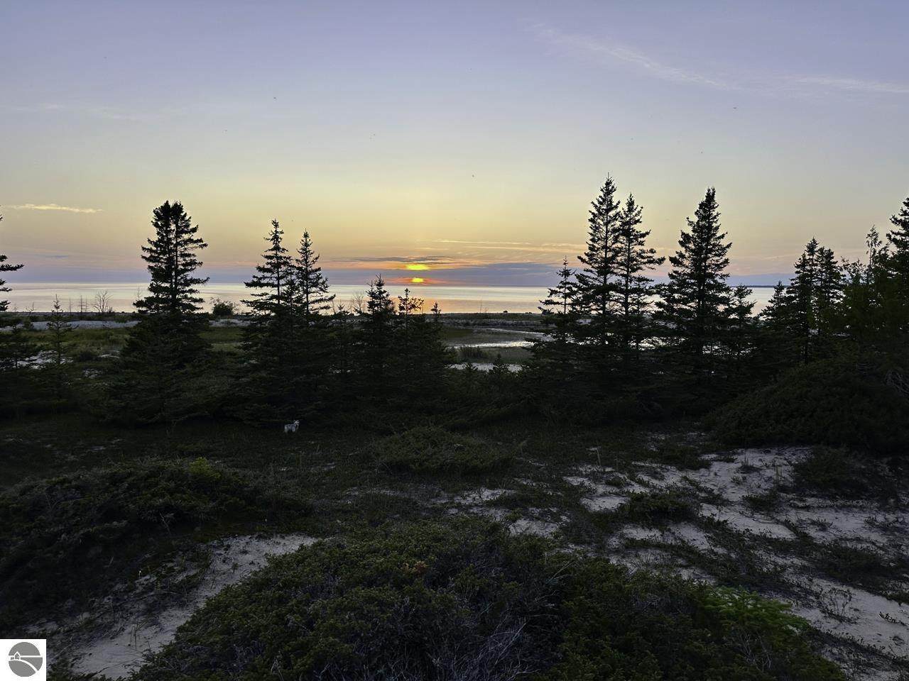 TBD Mrs Reddings Trail - Photo 1