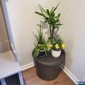5-22 Maple Crescent - Photo 40