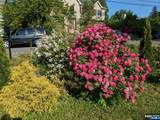 56 Calumet Avenue - Photo 5