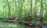  Sweet Hollow Road - Photo 2