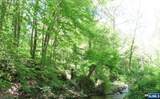  Sweet Hollow Road - Photo 13
