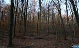  Sweet Hollow Road - Photo 7