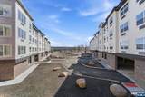 95 Shepherds - Photo 15