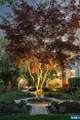 378 Park Street - Photo 4