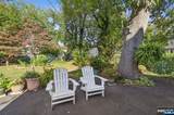 74 Forest - Photo 19