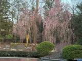 67 Adams Drive - Photo 46