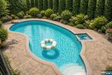 51 Chestnut Drive - Photo 8