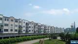 331 Promenade - Photo 31