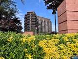 100 Carlyle - Photo 3
