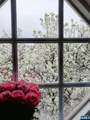 337 The Promenade - Photo 26