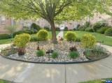522 Maple - Photo 11