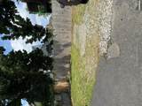 8 Maple - Photo 10