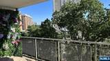 301 Beech - Photo 13