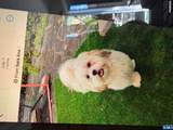 286 Leonia - Photo 9