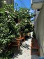 220 Cliff Street - Photo 33