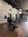 24 Elm - Photo 11