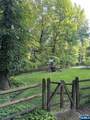 3 Lambs - Photo 14