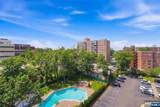301 Beech Street - Photo 10