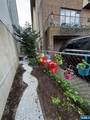 220 Cliff Street - Photo 34