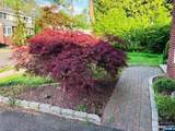 204 Pierron Street - Photo 37