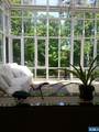 510 Priscilla - Photo 14