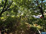 166 3rd Street - Photo 6