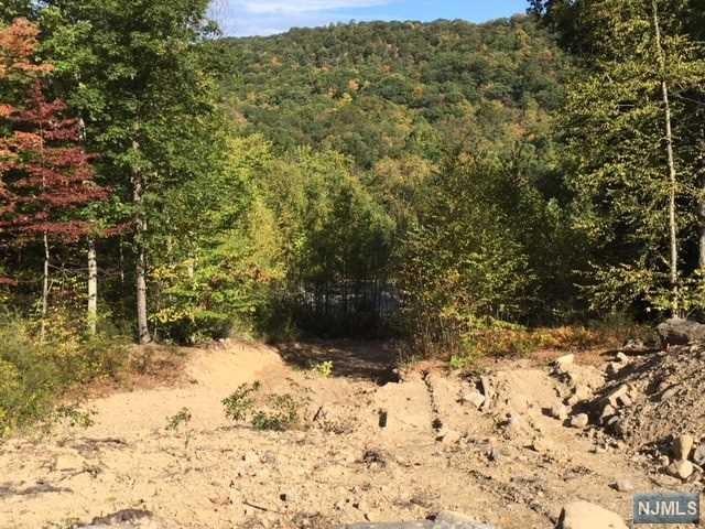 53 Roaring Brook Way - Photo 1