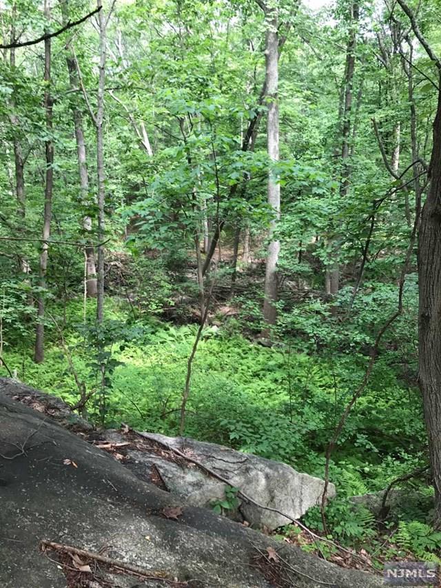 19 Split Rock Road - Photo 1