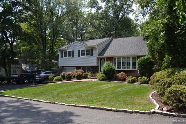 41 Oak Avenue - Photo 1
