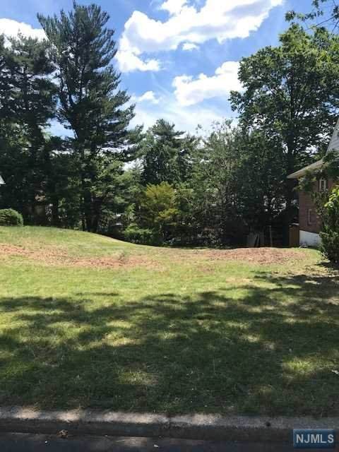 1163 Trafalgar Street - Photo 1