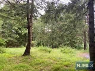 642 Valley Road - Photo 1