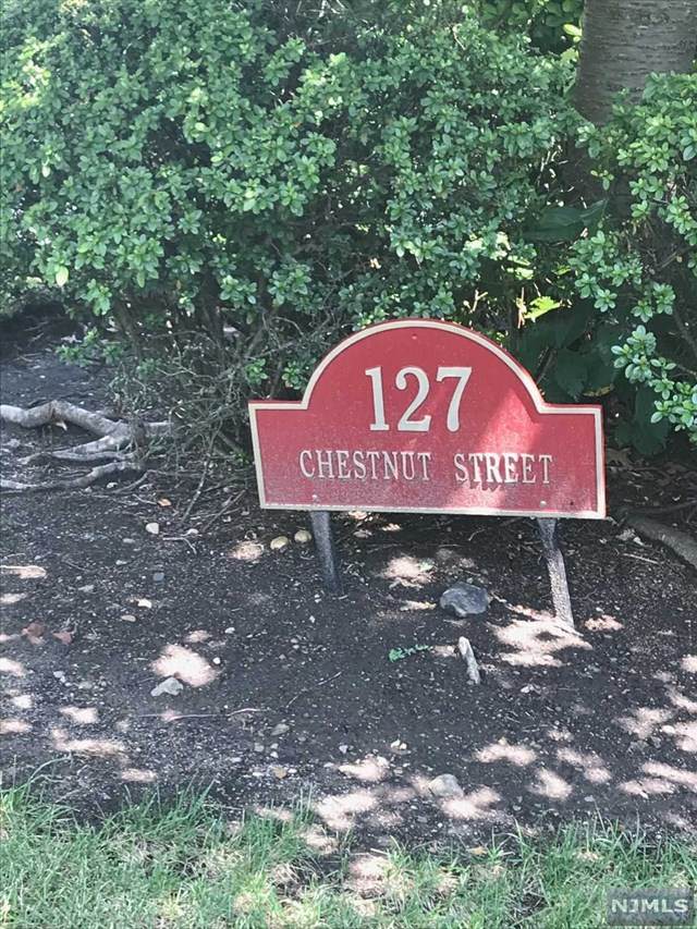 127 Chestnut Street - Photo 1