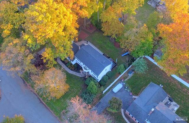 15 Ellen Court - Photo 1
