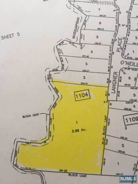 100 Langner Place - Photo 1