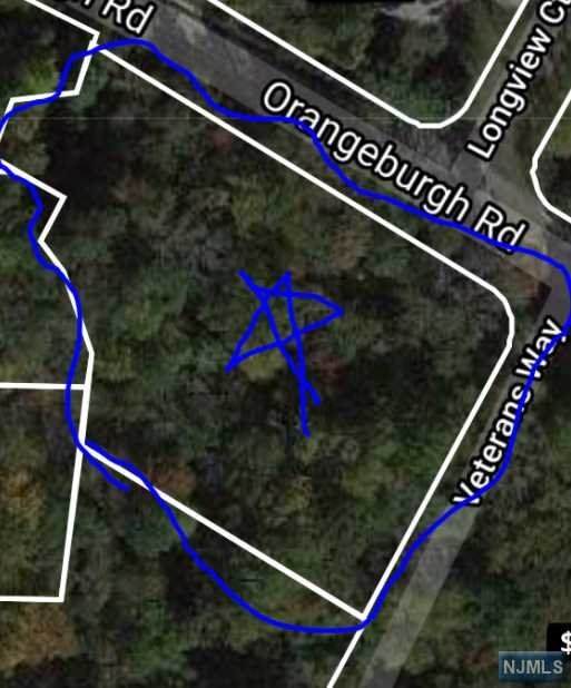 0000000 Orangeburgh Road - Photo 1