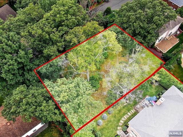 33 Roslyn Avenue - Photo 1