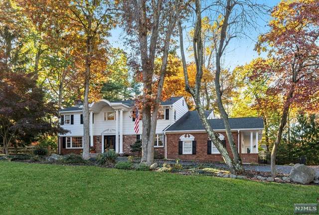 298 Tortoise Lane - Photo 1