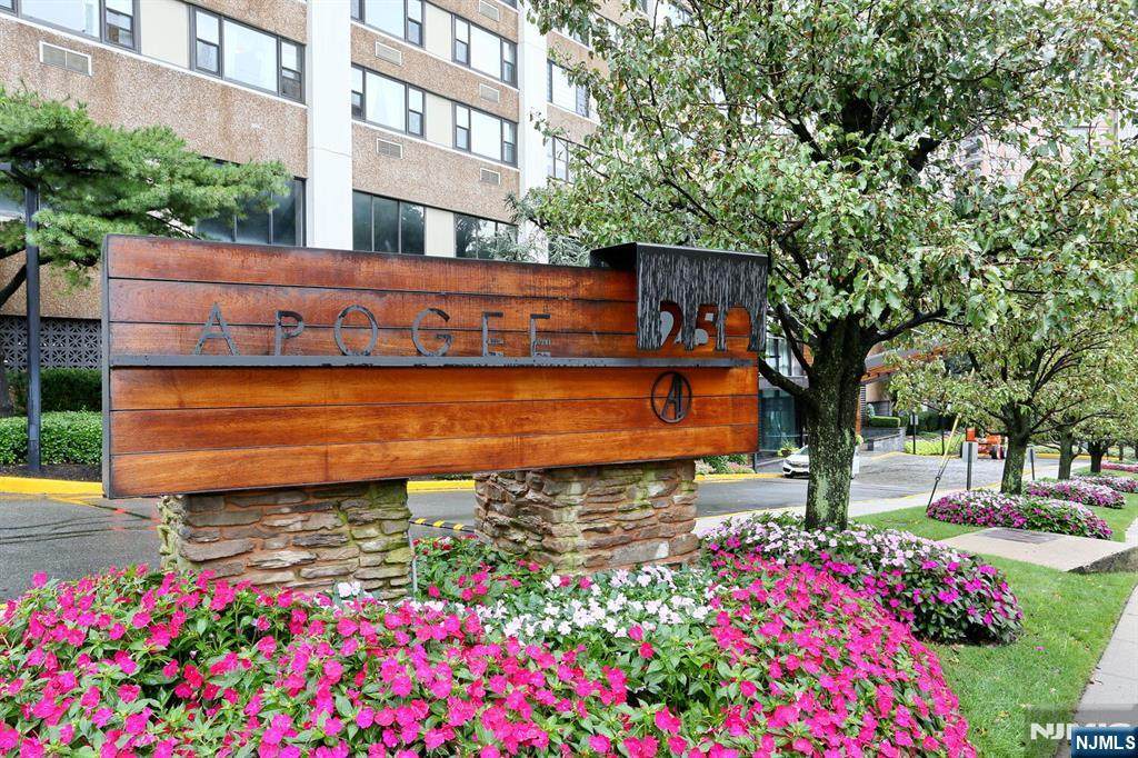 250 Gorge Road - Photo 1