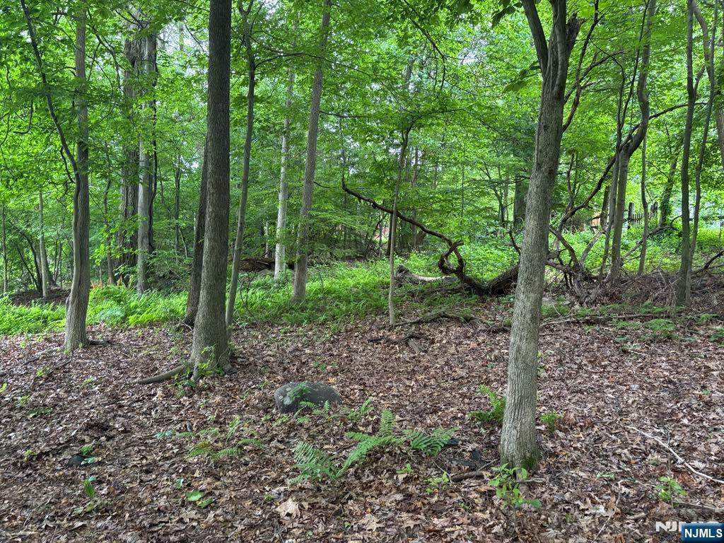0 Oakwood - Photo 1